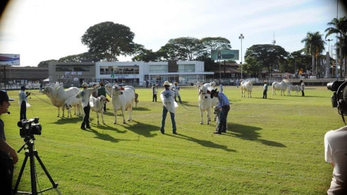 Definidos jurados da ExpoZebu 2015