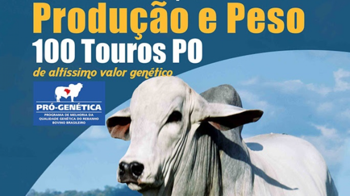 Setembro terá 7 leilões chancelados pelo Pró-Genética