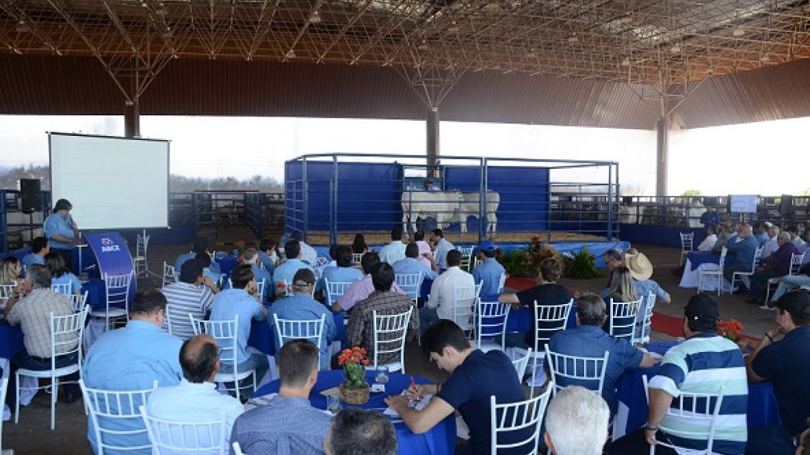 ExpoGenética: inscrições de touros para PNAT abertas até dia 05 de agosto