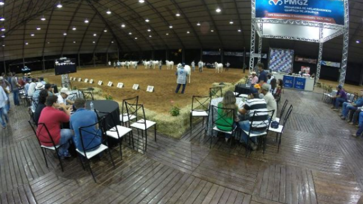 ABCZ atende criadores na Expo Nelore Avaré