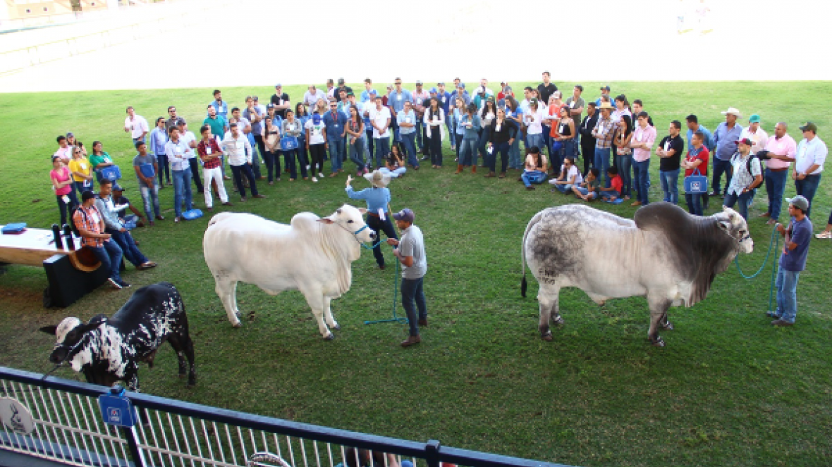Curso de Julgamentos da ABCZ registra recorde de inscrições