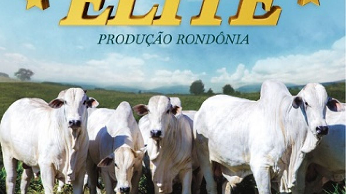 ?1º Leilão Elite Produção Rondônia? irá oferecer 60 reprodutores no sábado (21)
