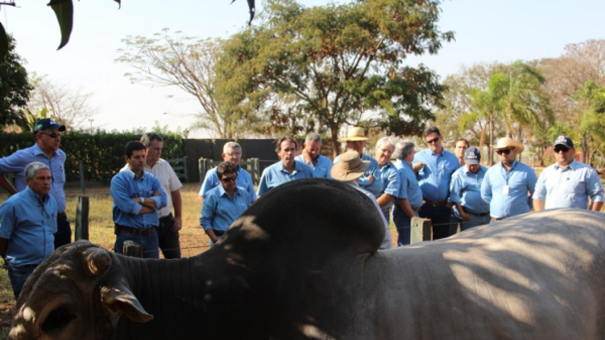 Técnicos de MG calibram os olhos no EPMURAS  