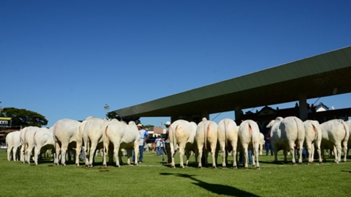43ª Expoinel encerrada em Uberaba