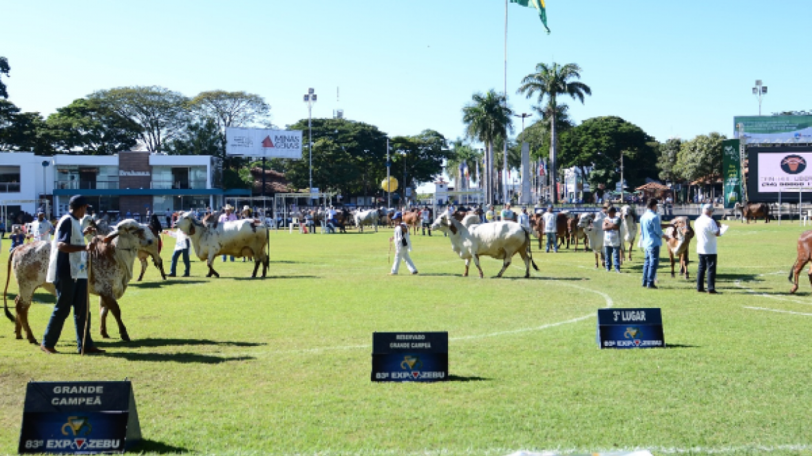 Fique atento às novas regras da ExpoZebu 2018 !