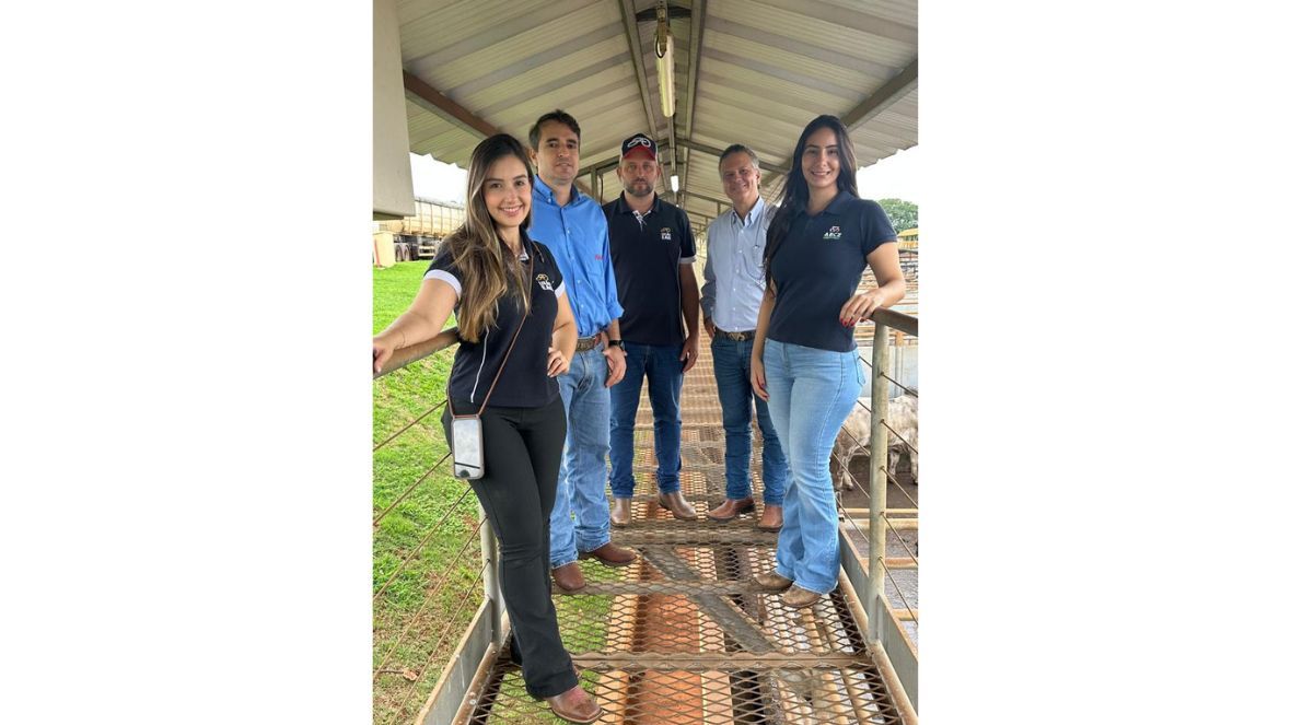 PMGZ Carne encerra 2025 com abate técnico de animais da EAO Agropecuária