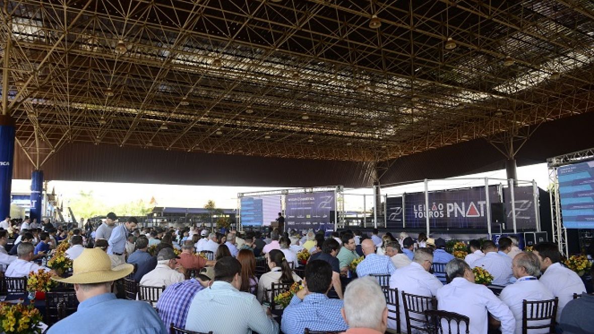 16ª ExpoGenética: ABCZ apresenta resultados do PNAT 2023