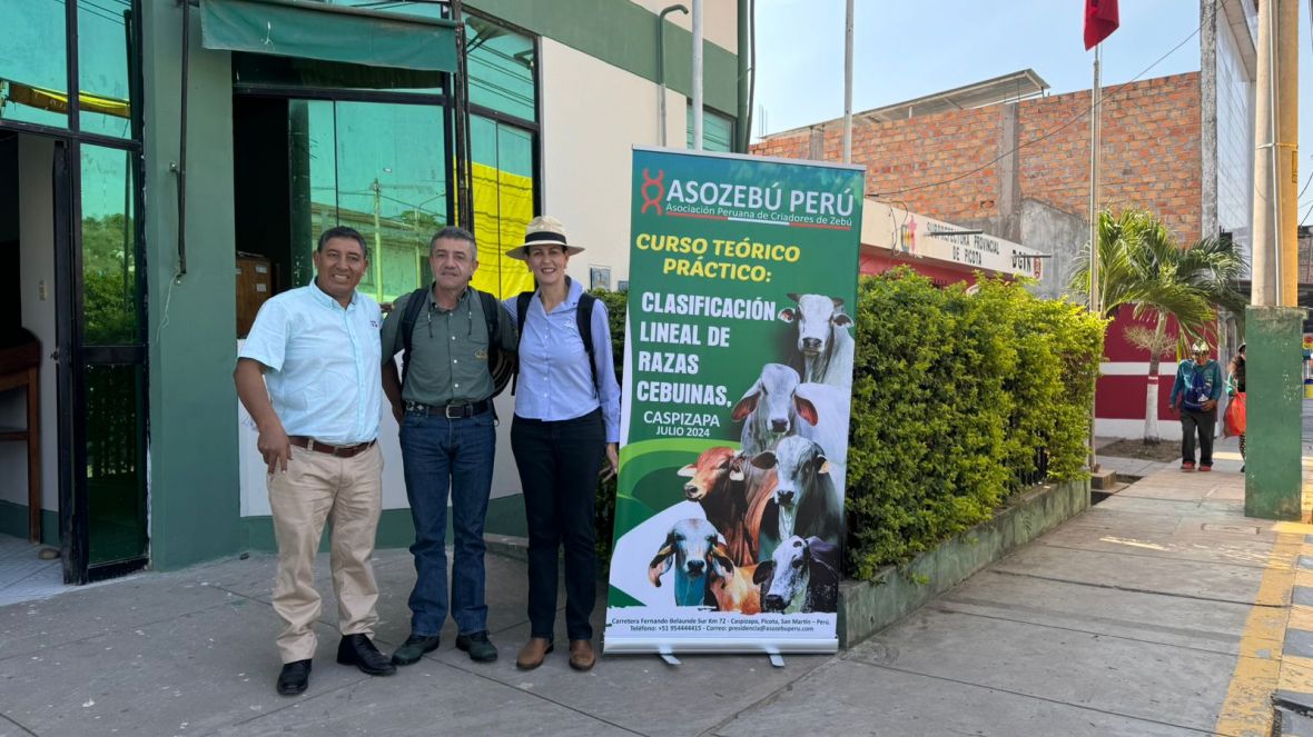 ABCZ no Peru: gerente do PMGZ Leite Max participa de curso de classificação linear organizado pela Asozebú Perú