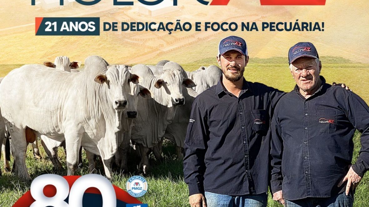 2º Leilão Virtual Nelore AZ ofertará animais avaliados pelo PMGZ