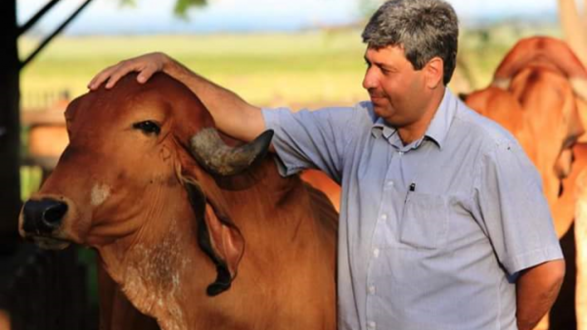 Pecuária em luto por Luiz Ronaldo de Paula
