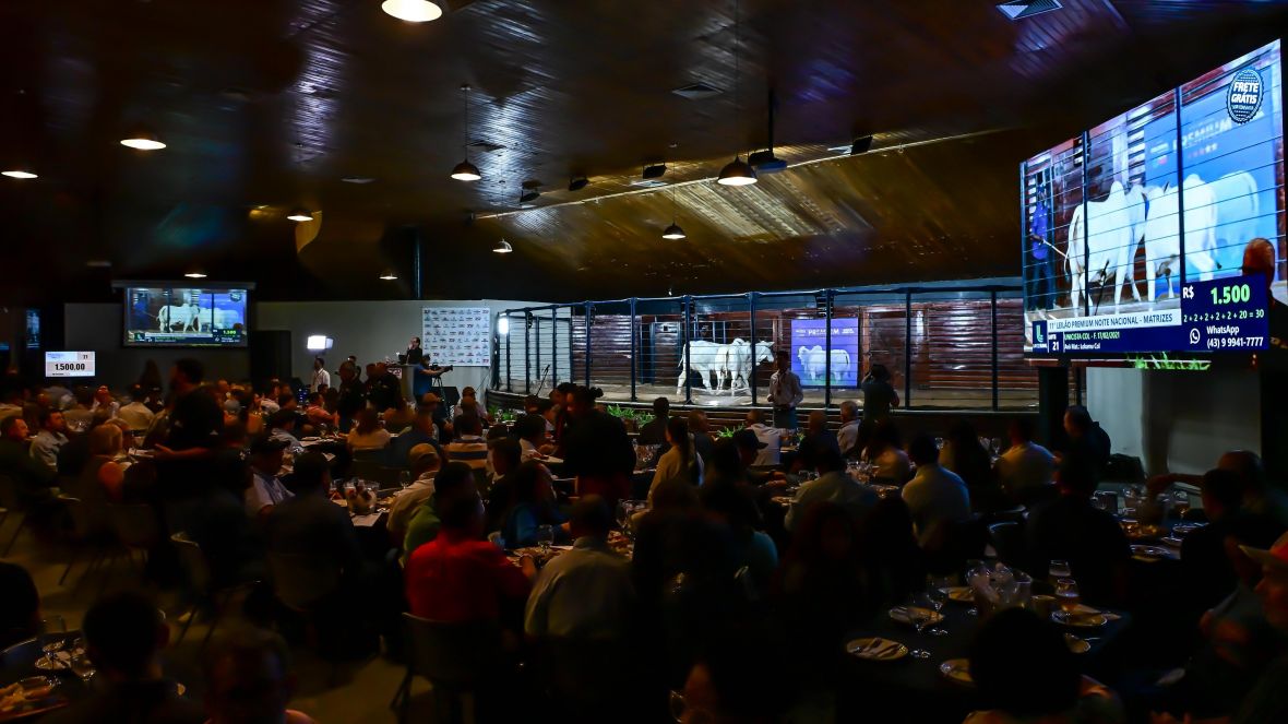 Leilões da 18ª ExpoGenética já movimentaram mais de R$ 104 milhões