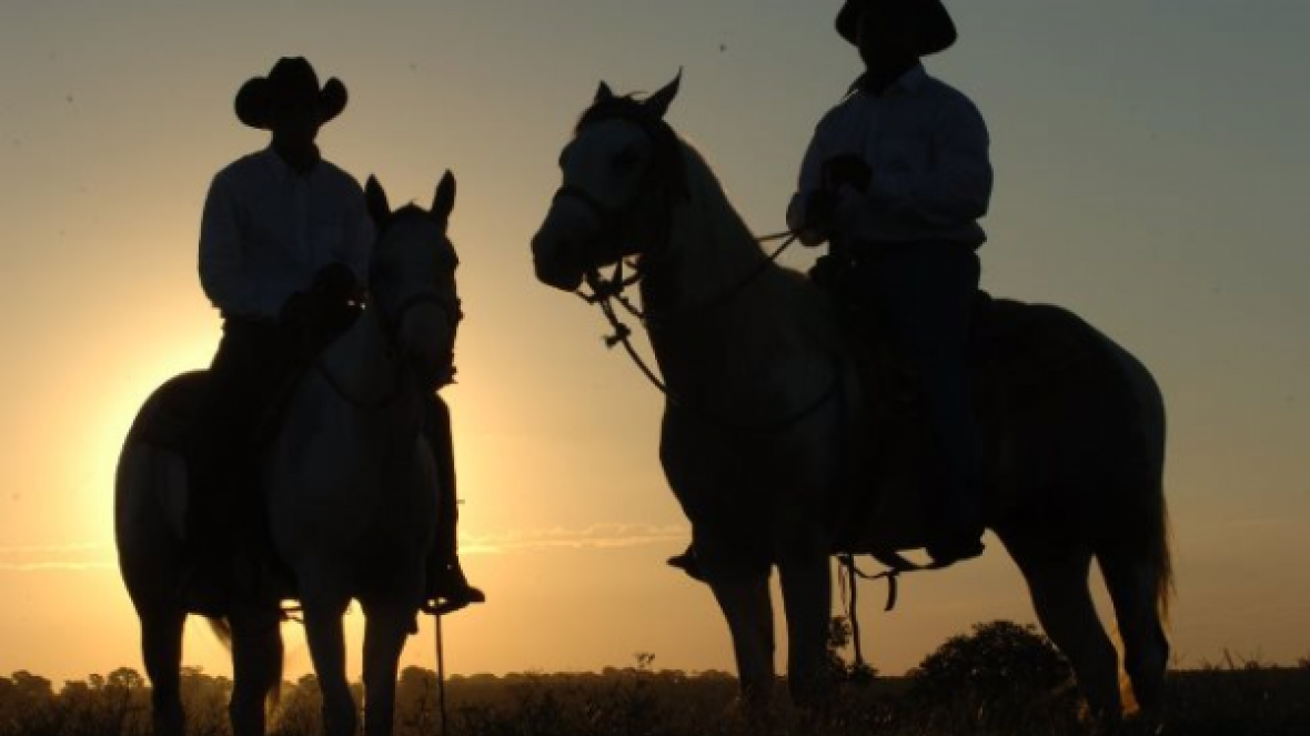 Gente do mundo do zebu é destaque nas indicações do Prêmio BeefPoint