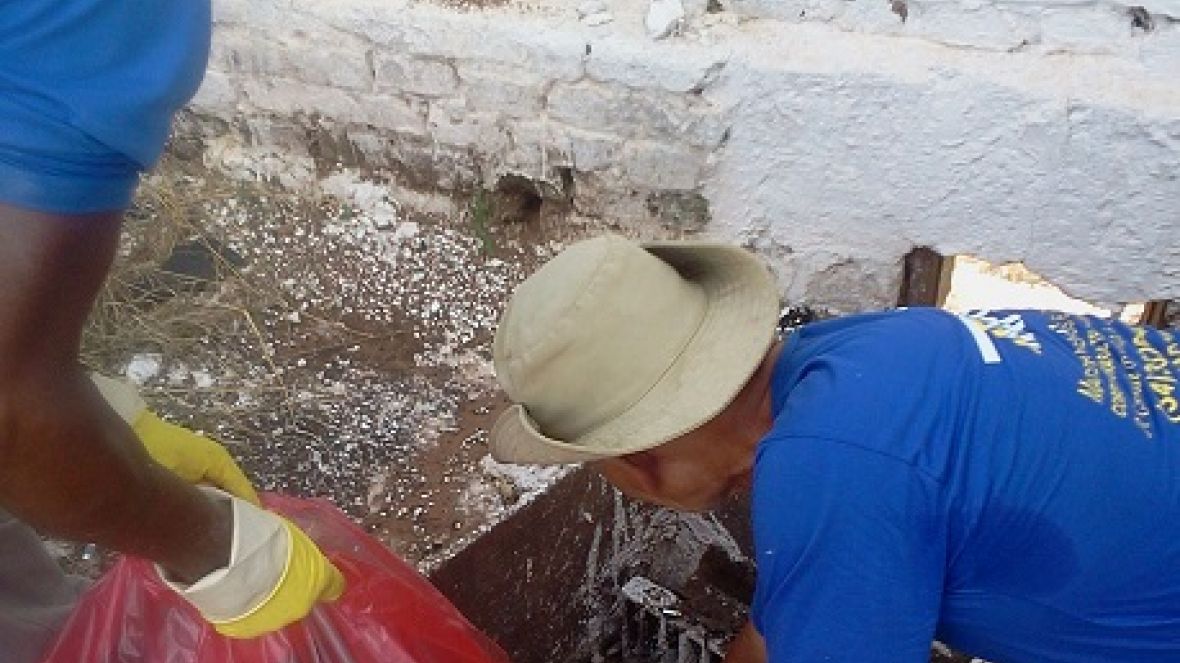 ABCZ se esforça para manter Parque Fernando Costa sem registro do Aedes Aegypti