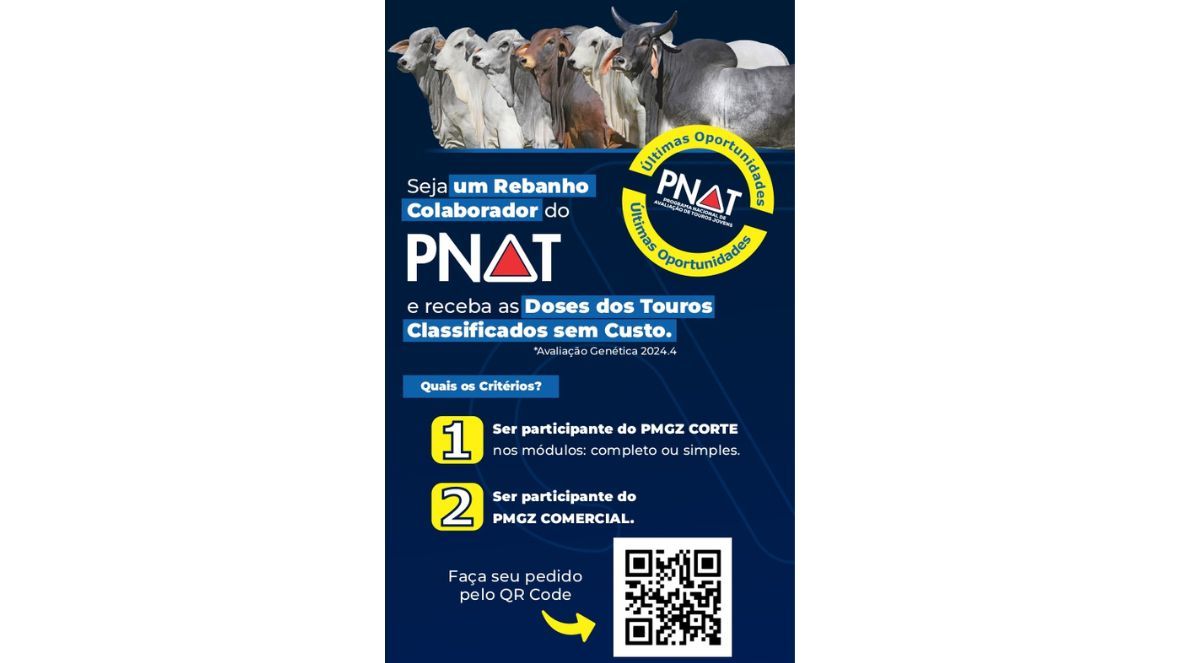 Últimas oportunidades para rebanhos colaboradores do PNAT receberem doses de sêmen dos touros classificados em 2024