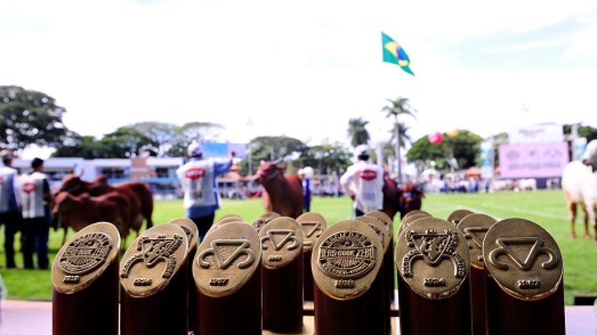 ExpoZebu 2019: edição especial da feira chega ao fim com excelentes resultados