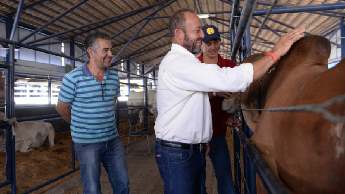 ExpoGenética: vários negócios já são fechados na Feira do Pró-Genética