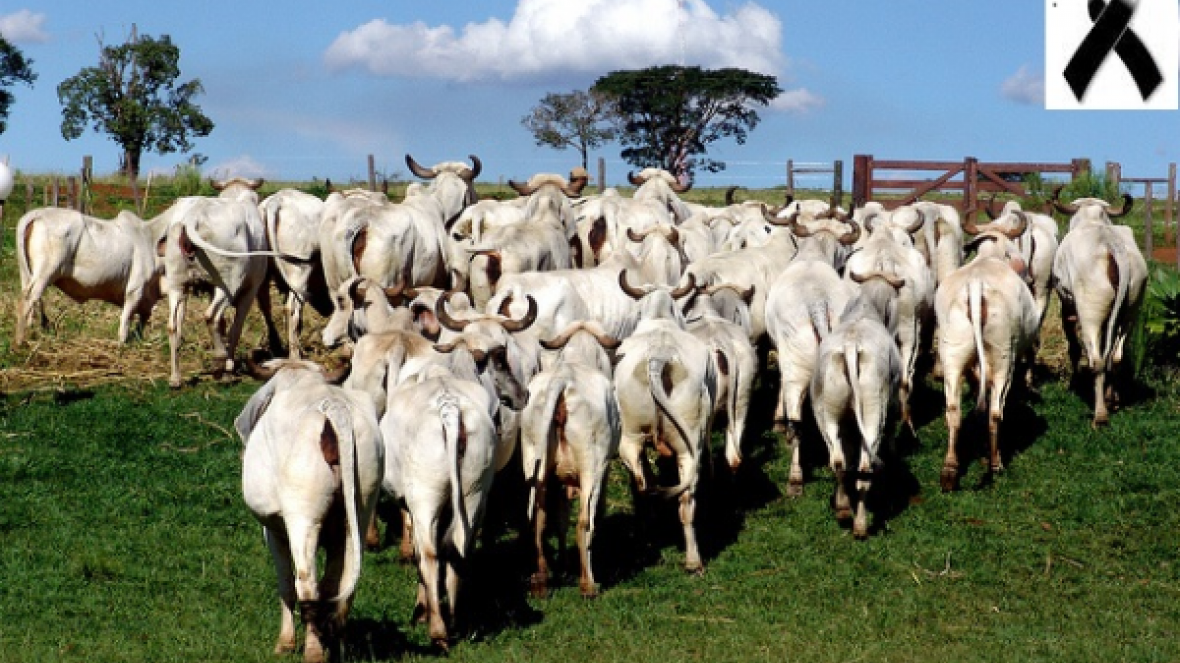 Indubrasil perde um de seus incentivadores