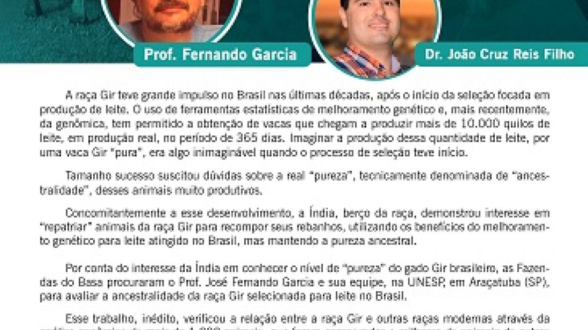 ABCGIL promove webinar sobre a ?Ancestralidade do Gir Leiteiro?
