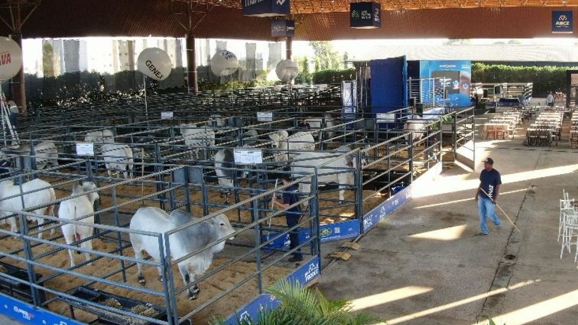 18ª ExpoGenética: Transformando Genética em Lucro