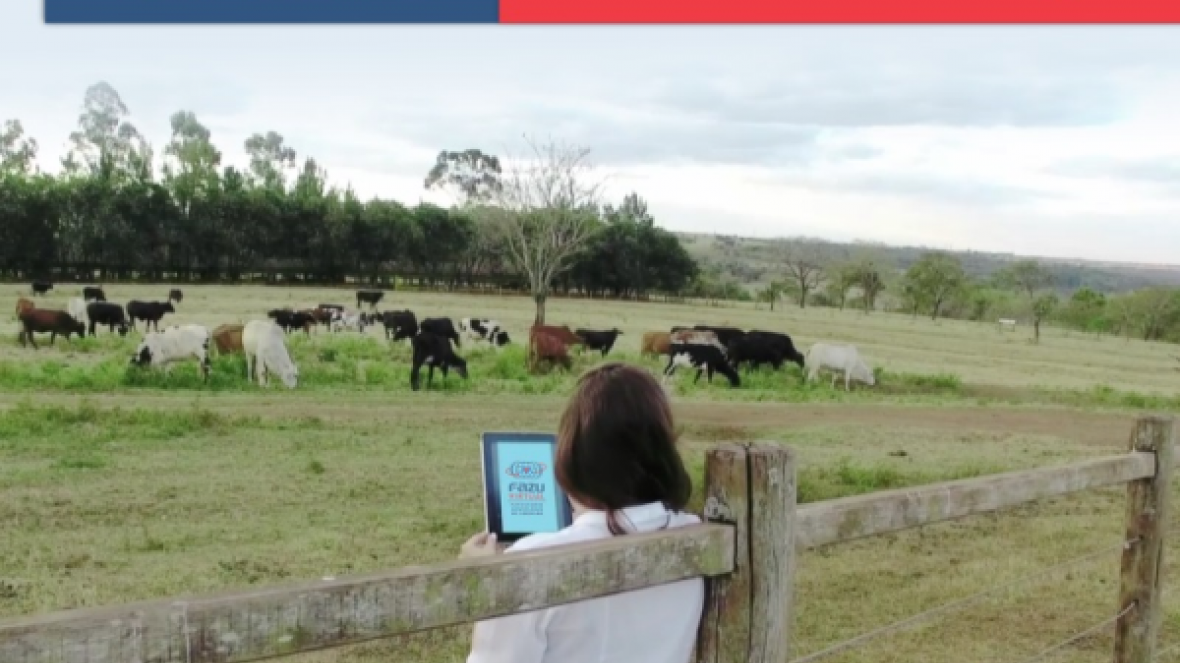 Inscrições abertas em Fazu Virtual com novos cursos de pós