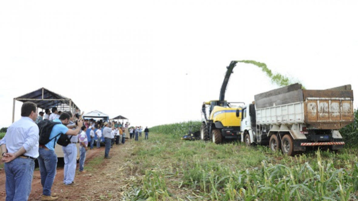 Expozebu Dinâmica: A Feira que Alimenta a Pecuária