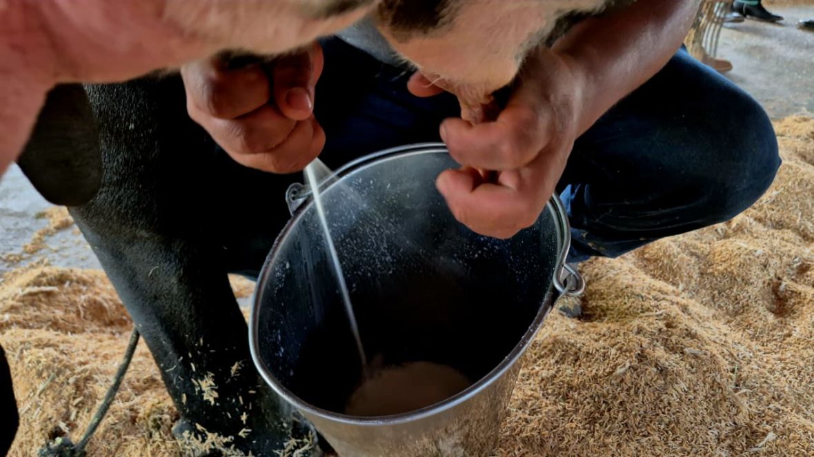 Debate sobre o leite abre 3ª edição da Intertech Agro, na EXPO Rio Preto
