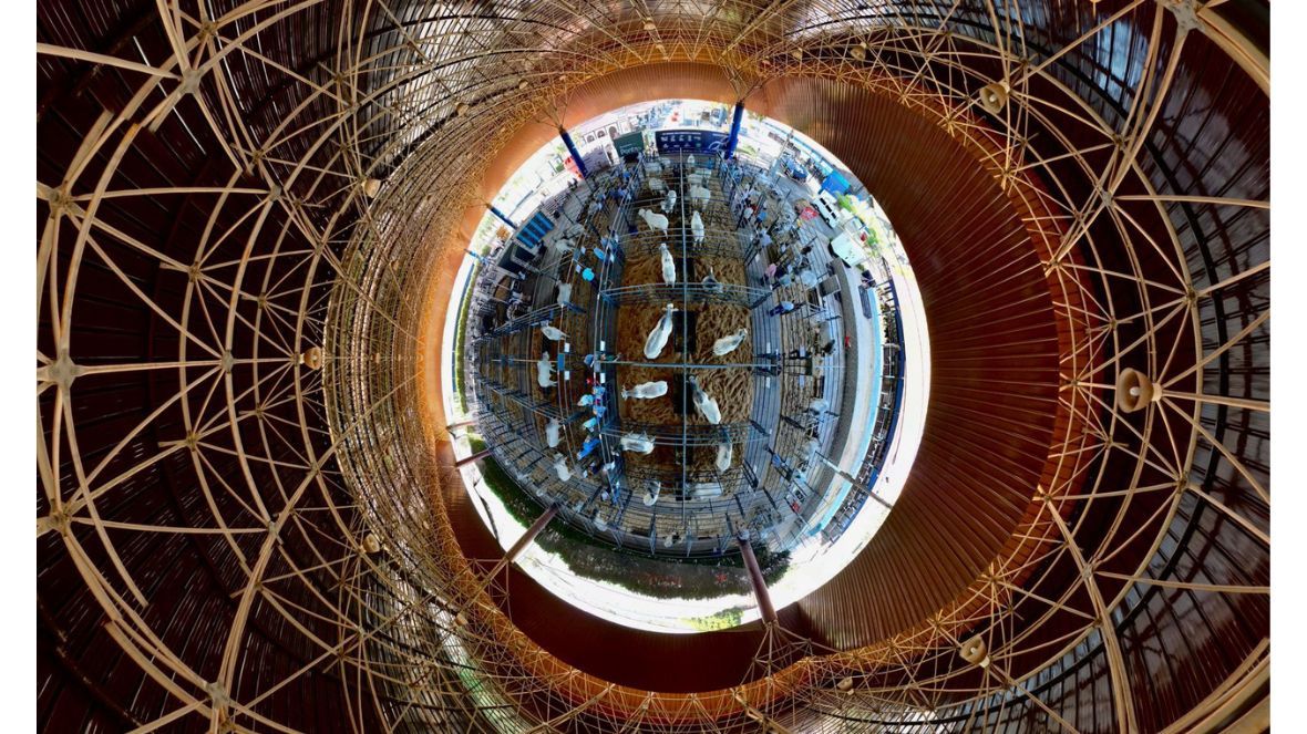 Ficha de rebanho colaborador do PNAT já está disponível no site da ABCZ