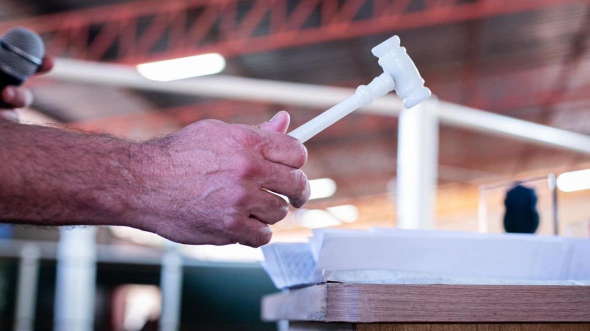 17ª ExpoGenética: leilões da feira já movimentaram mais de R$ 88 milhões; agenda segue até terça (27)