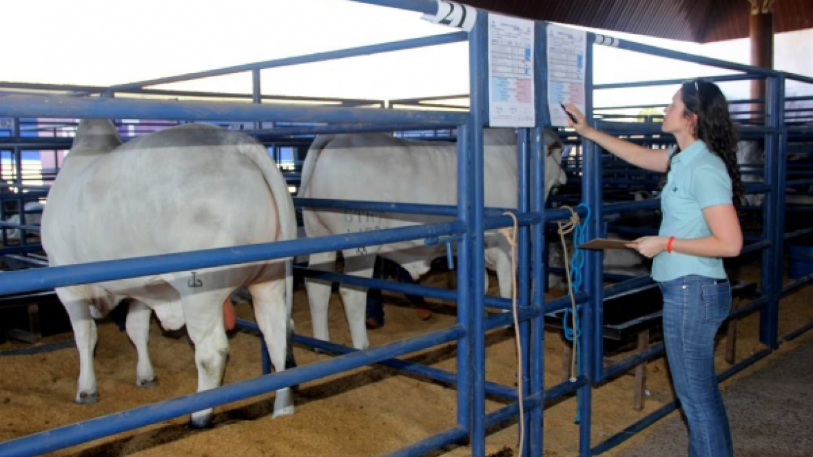 PNAT 2016 prevê aumento de 30% no volume de sêmen distribuído gratuitamente