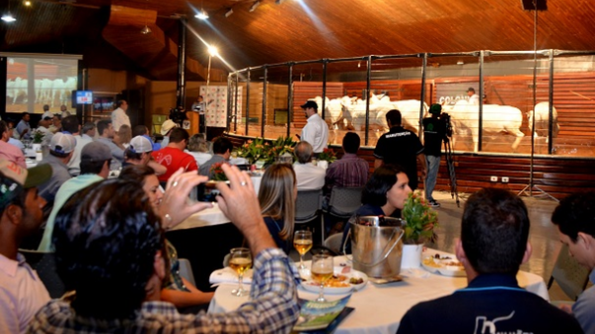 ExpoGenética registra mais um remate com liquidez           