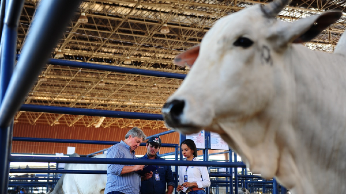 Julgamento do Concurso Matriz Cláudio Sabino Carvalho foi realizado hoje (24)