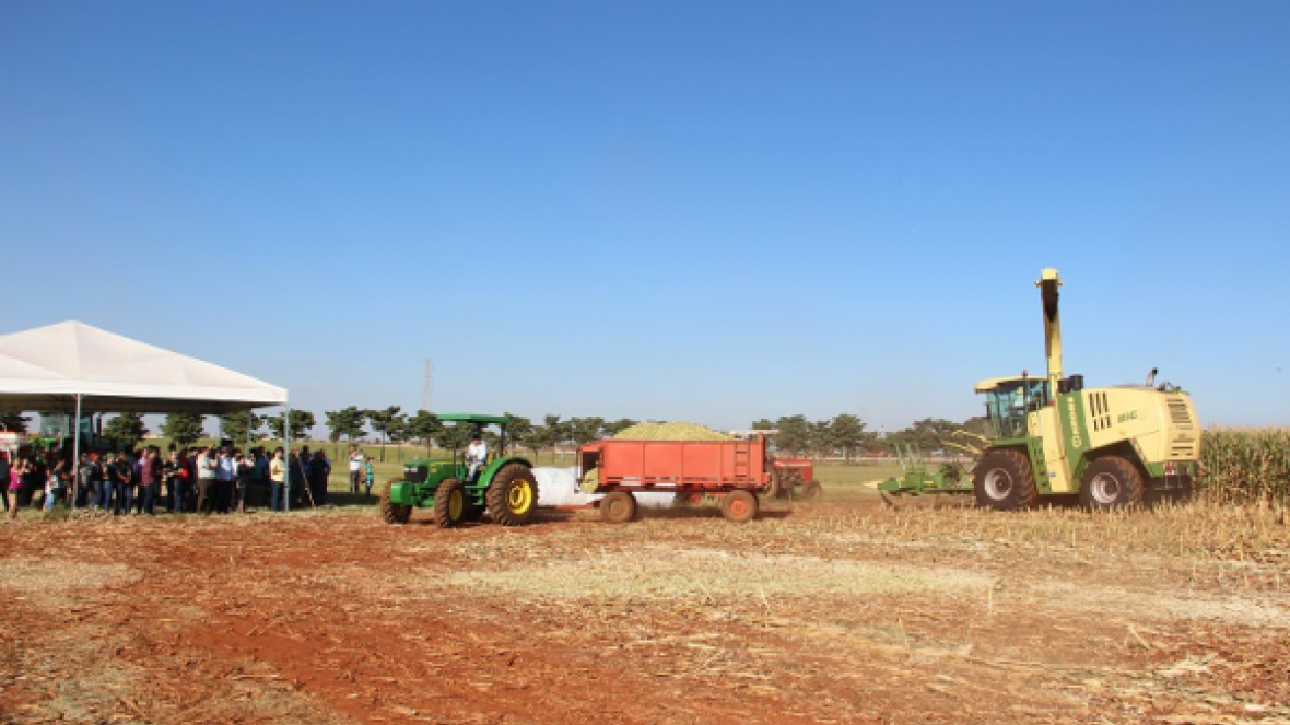 Visitantes participam de atividades no penúltimo dia da ExpoZebu Dinâmica  