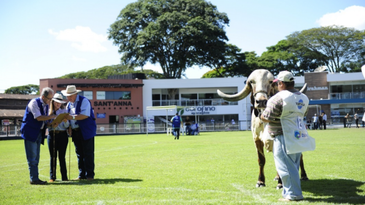 Presidente da ABCZ e diretor Técnico julgam campeonato Matriz Modelo