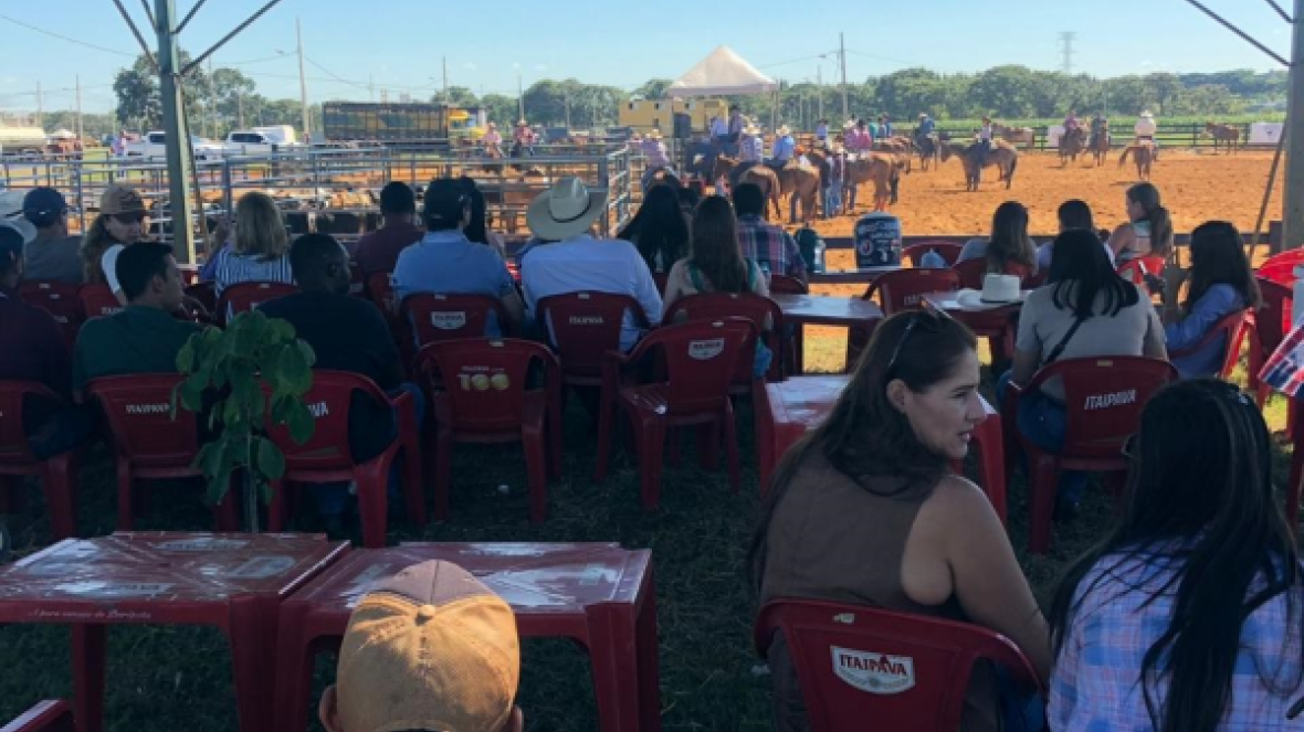 Equishow: provas de rédea e ranch sorting marcam primeiro fim de semana do evento