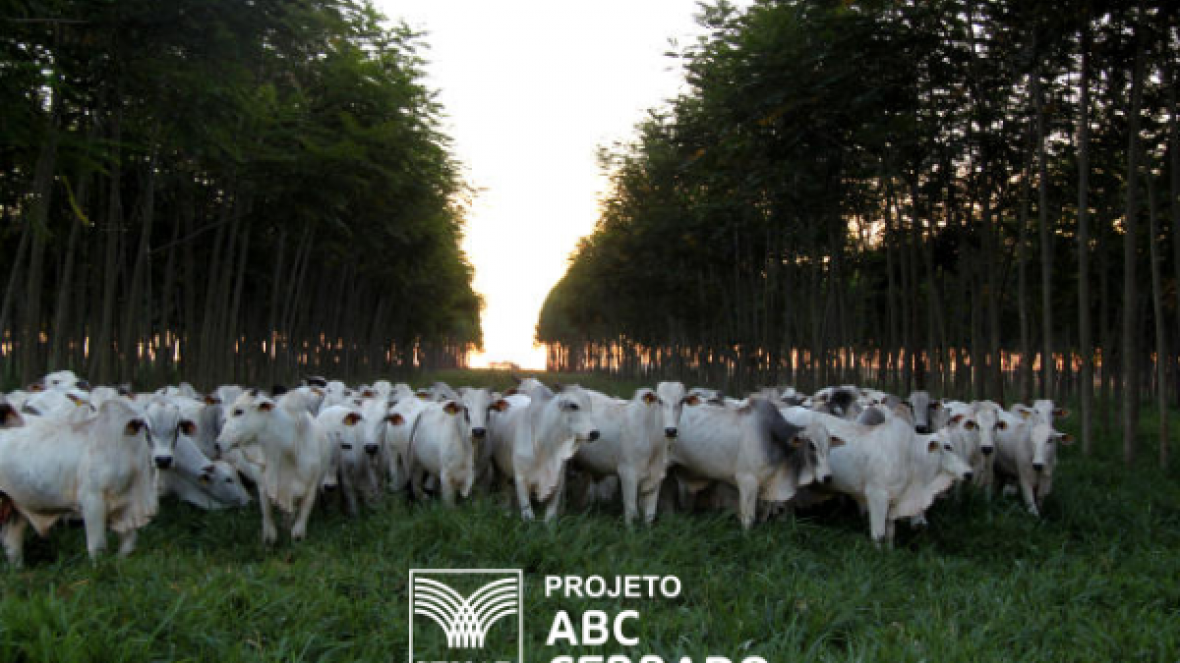 Projeto ABC Cerrado recebe inscrições até o final do mês 