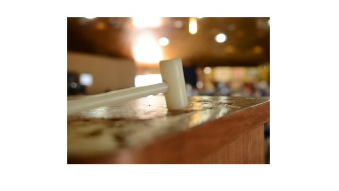 Leilões da Expogenética já movimentaram mais de R$5 milhões