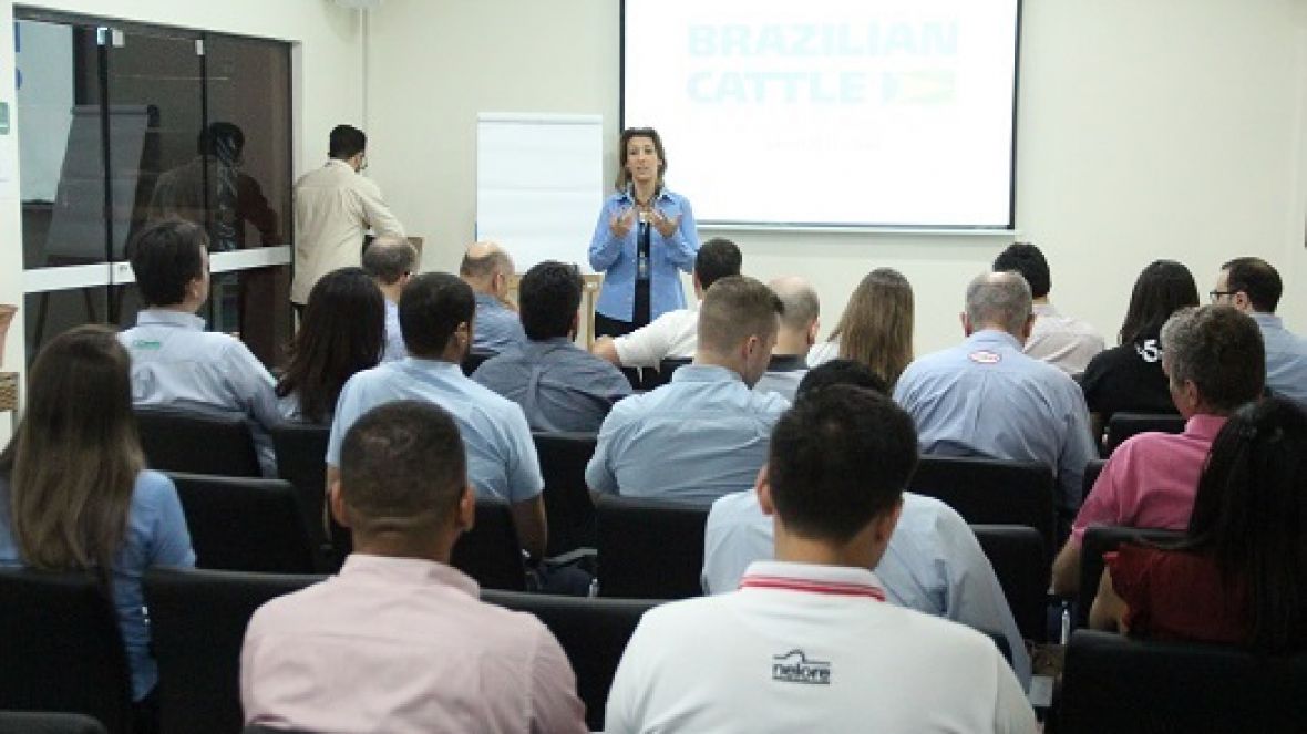 ABCZ e Apex-Brasil apresentam balanço e definem estratégias para Brazilian Cattle
