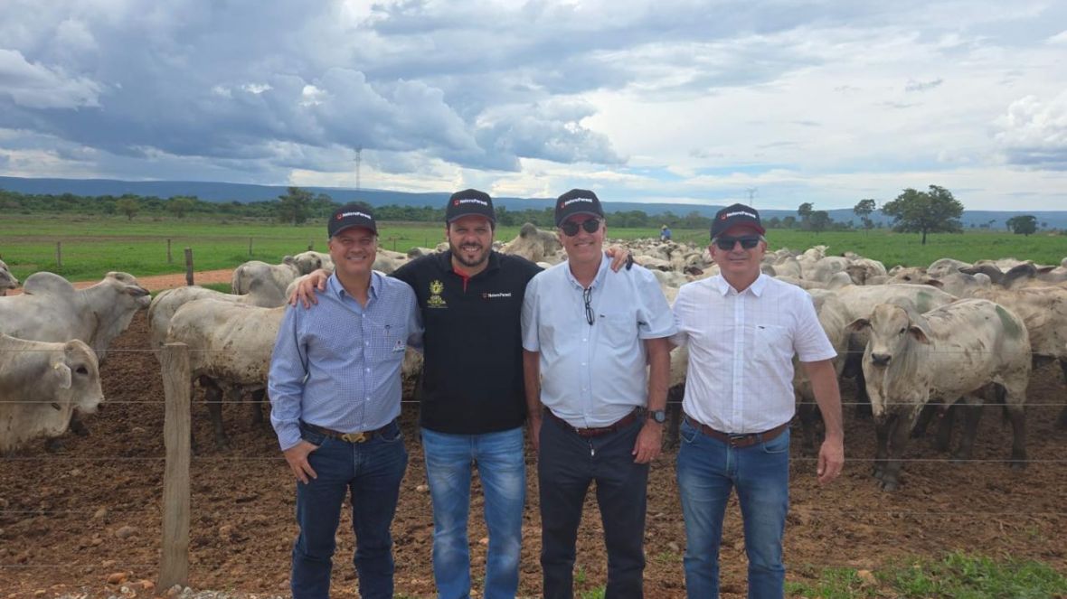 ABCZ visita fazendas do Agro Paranã e destaca excelência na seleção do Nelore