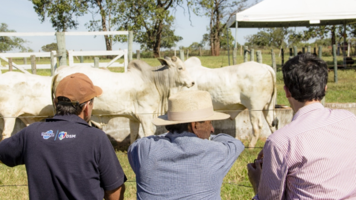 Convênio com governo do Estado deve ampliar Pró-Genética no Mato Grosso do Sul