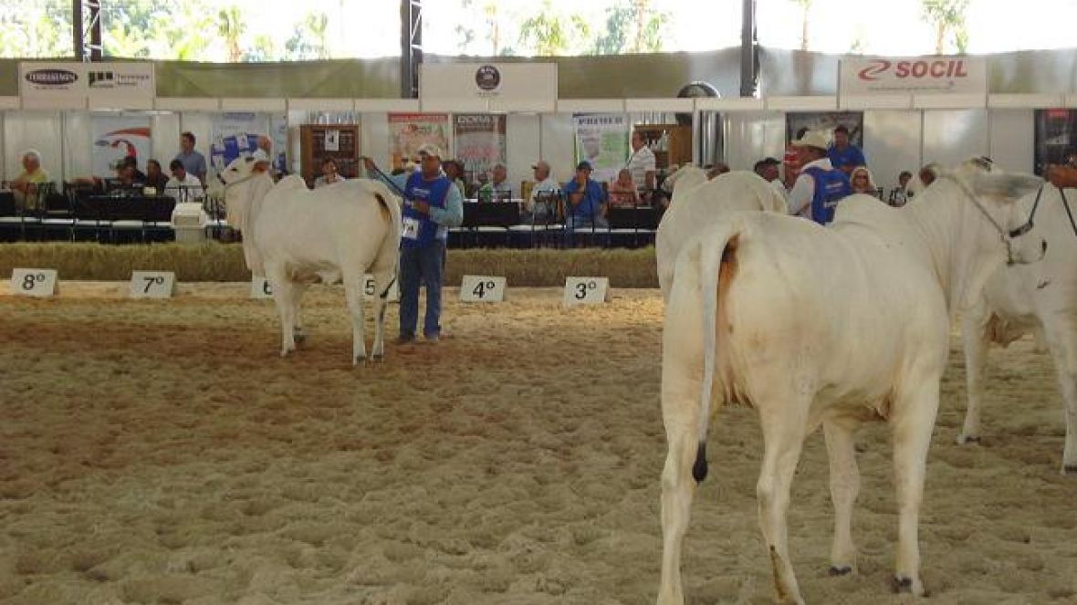 Coordenador do Colégio de Jurados acompanha julgamentos em Avaré