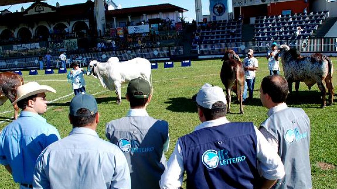 ABCZ e ABCGIl definem novas normas para atuação de jurados
