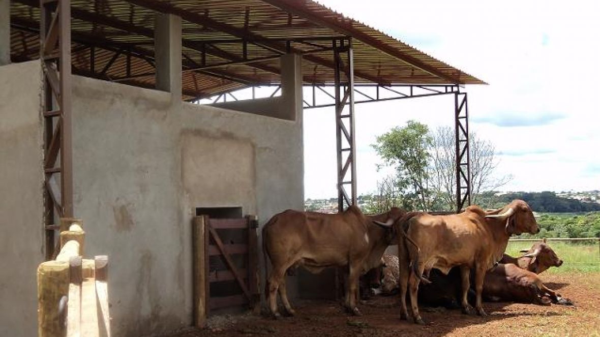 Projeto de produção de Leite Orgânico tem início com Controle Leiteiro 