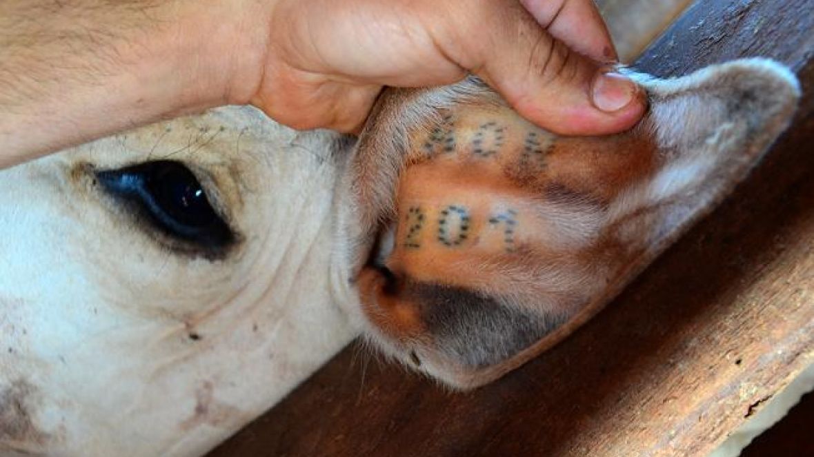 Coleta de amostras para formação de Banco de DNA terá início em maio