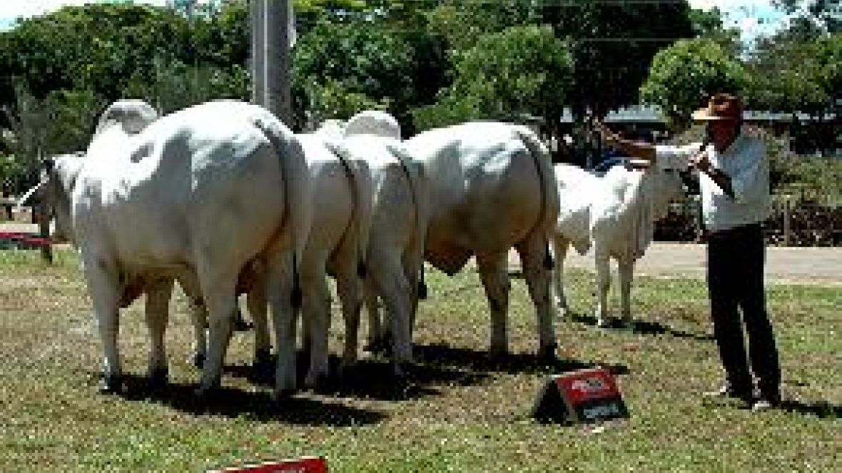 ES 2012 fecha ranking estadual e inaugura a Copa do Atlântico