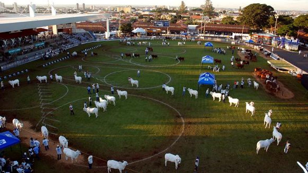 Inscrições da 78ª ExpoZebu serão encerradas no dia 06 de abril