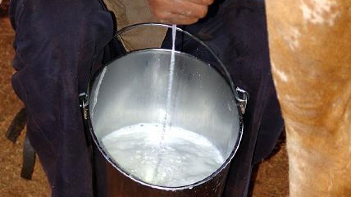 FAZU propõe a Ministro instalação de laboratório de qualidade do leite em Uberaba 