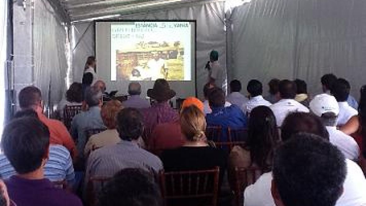 ABCZ promove Dia de Campo do PMGZ Leite no Vale do Paraíba 