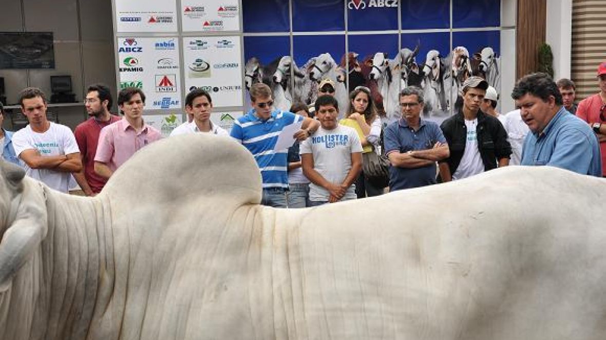 Lançamentos e aulas práticas marcam participação da FAZU durante ExpoZebu