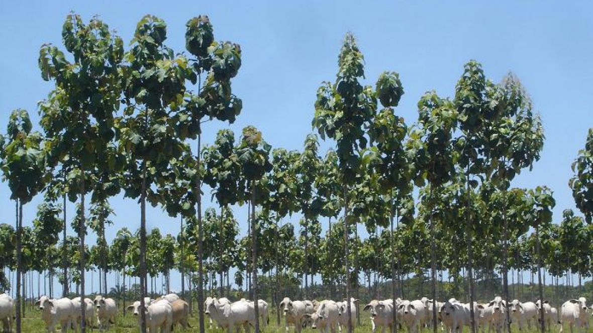 Estância Anna Sophia e PMGZ se unem em Dia de Campo no Mato Grosso