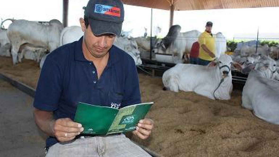 Orientações e prêmios marcam atuação de tratadores na ExpoZebu 